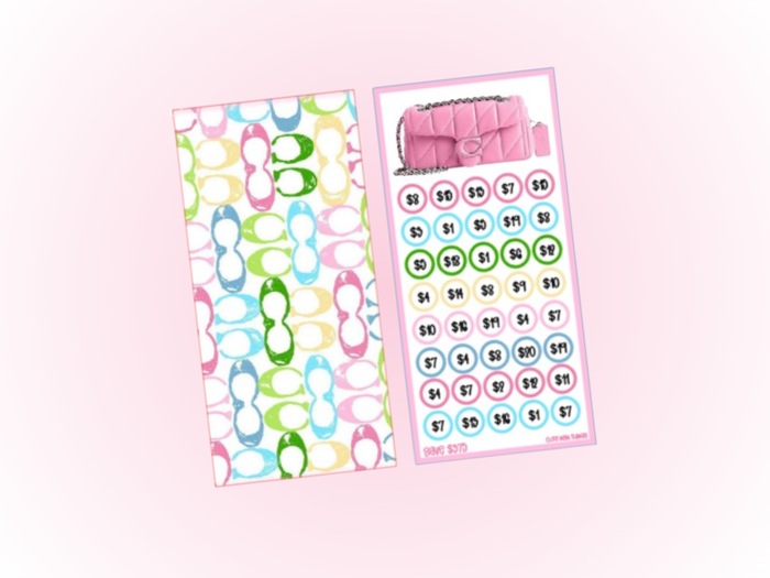 Savings Insert & Envelope Bundle | Pastel Coach
