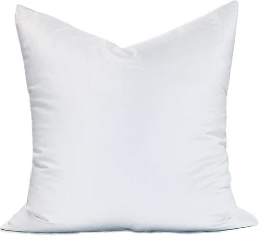 24" x 24" pillow Form