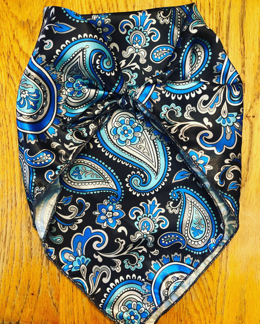 Blue Paisley Toddler Wild Rag