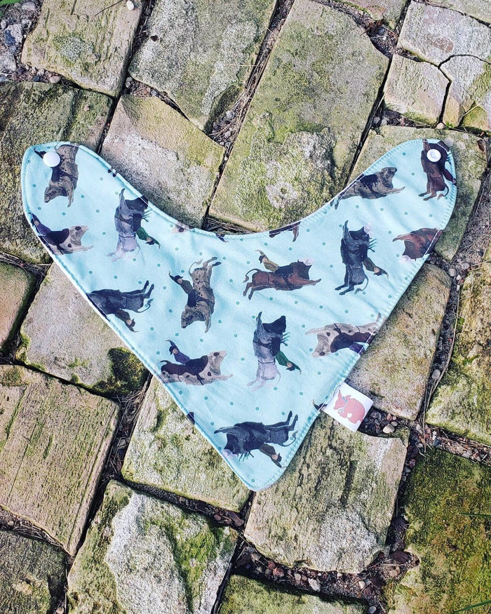 Bullrider Bandana Bib