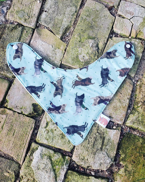 Bullrider Bandana Bib