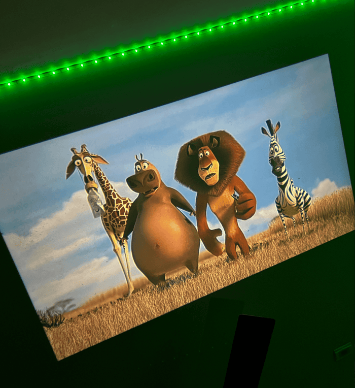 Hero MiniProjector™️ [Free Tripod Included]