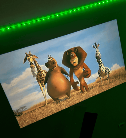 Hero MiniProjector™️ [Free Tripod Included]