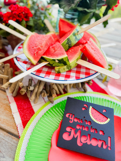 ScanNCut Watermelon Garden Party Kit