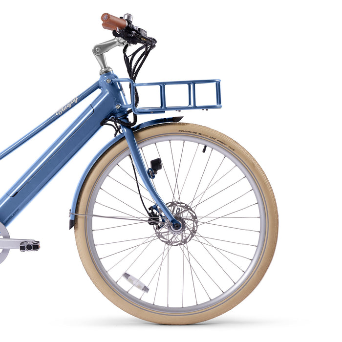 Schwalbe Fat Frank Balloon Tires