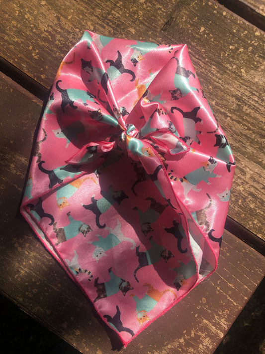 Scrub Kitties Toddler Rag