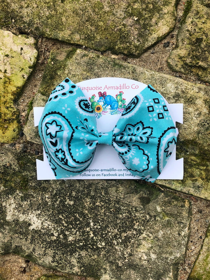 Turquoise Paisley Nylon